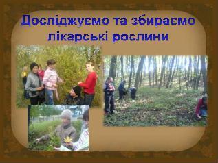 /Files/images/gonchar/141.JPG