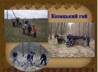 /Files/images/gonchar/6.JPG