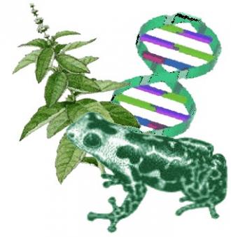 /Files/images/gonchar/biologia1.jpg